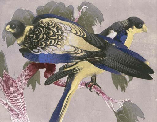 Vaughan Murray Griffin - Blue Parrots