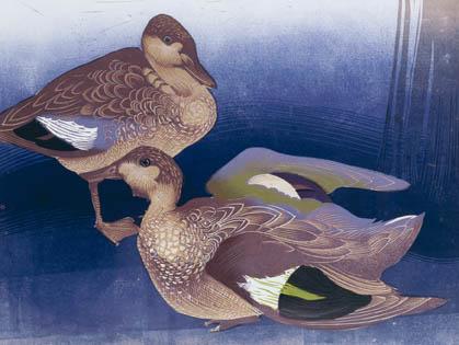 Vaughan Murray Griffin - Chestnut Teal