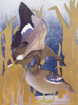 Vaughan Murray Griffin - Ducks in Reeds