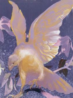 Vaughan Murray Griffin - Golden Hawk