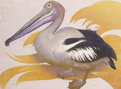 Vaughan Murray Griffin - Pelican