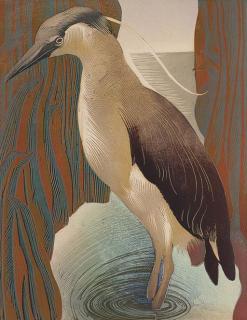 Vaughan Murray Griffith - Heron