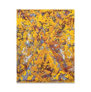 Vaughn Spann - Marked Man, 2019