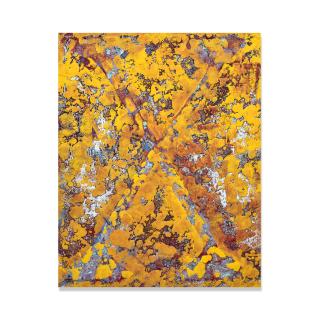 Vaughn Spann - Marked Man