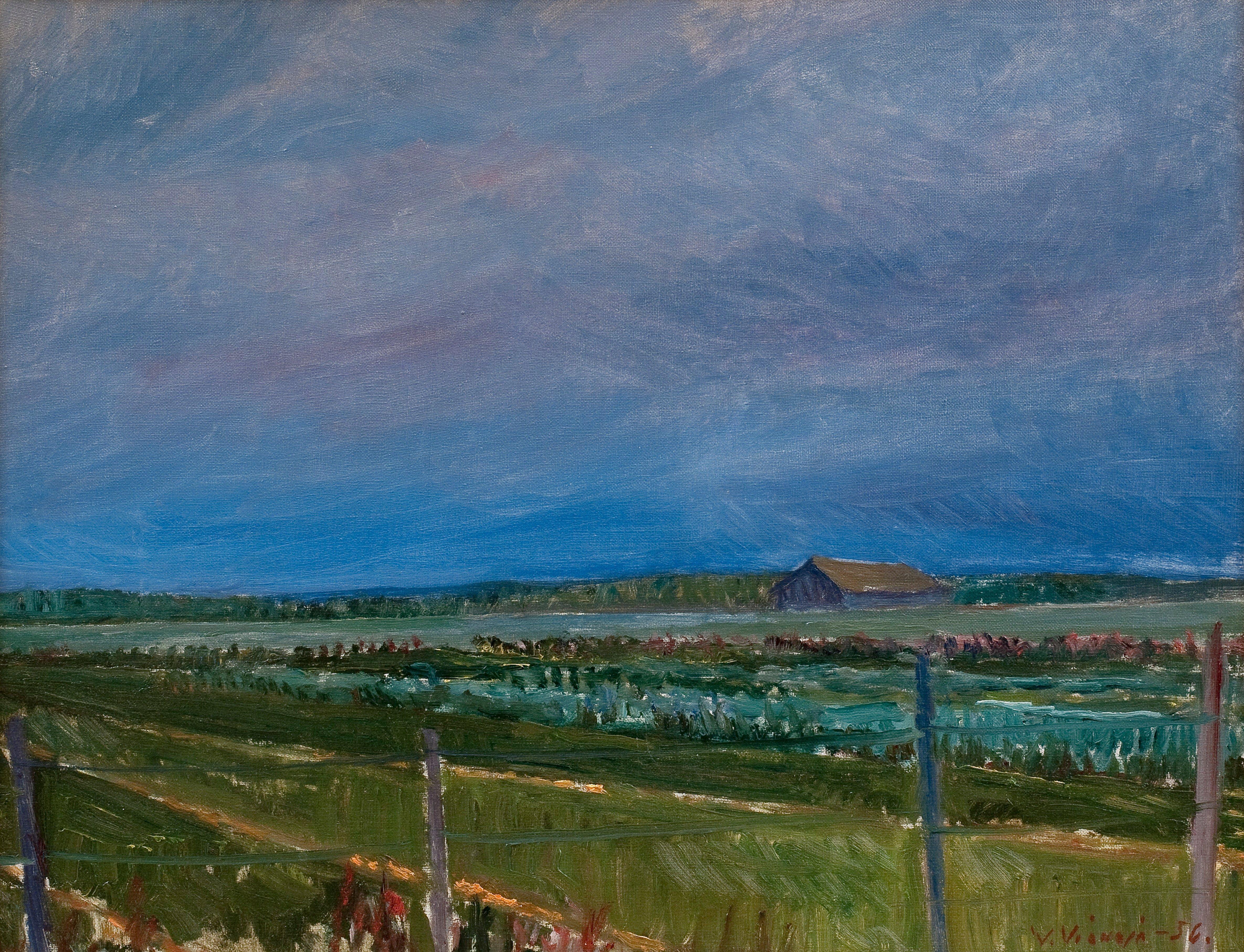 Veikko Vionoja - View To The Fields.
