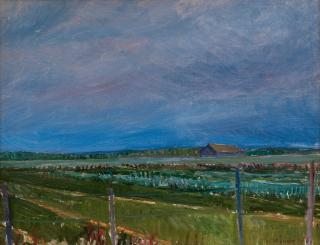 Veikko Vionoja - View To The Fields.