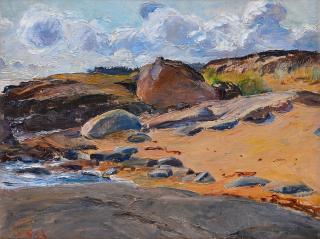 Venny Soldan-Brofeldt - Cliffs On The Shore.