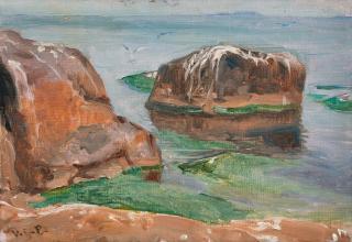 Venny Soldan-Brofeldt - From Tvärminne.