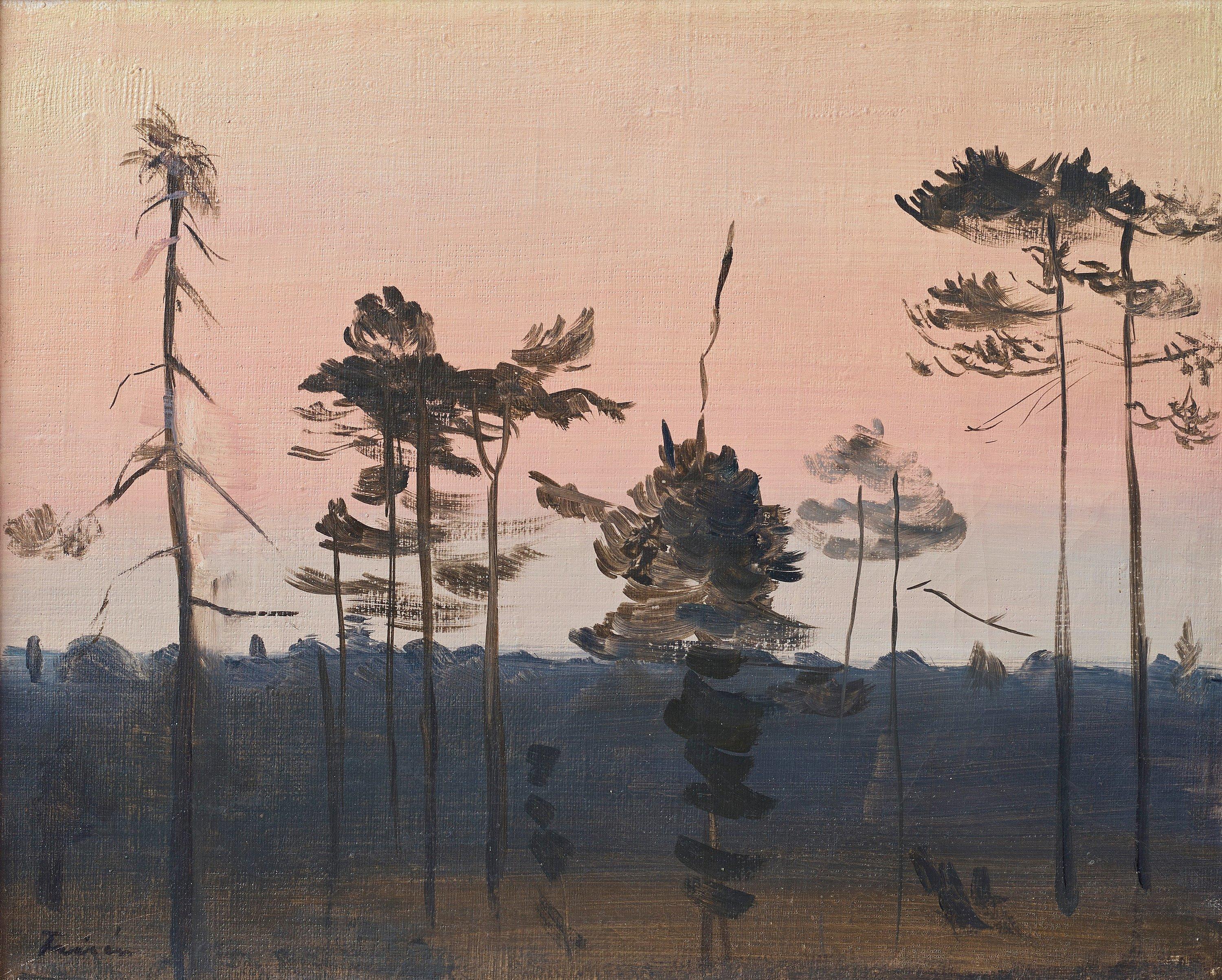 Vera Frisén - Forrest at twilight