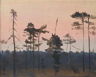 Vera Frisén - Forrest at twilight
