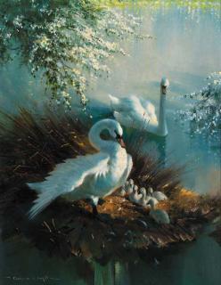 Vernon de Beauvoir Ward - Maternal wing