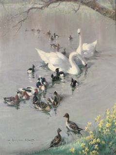 Vernon de Beauvoir Ward - Swans, Ducks And Moorhens