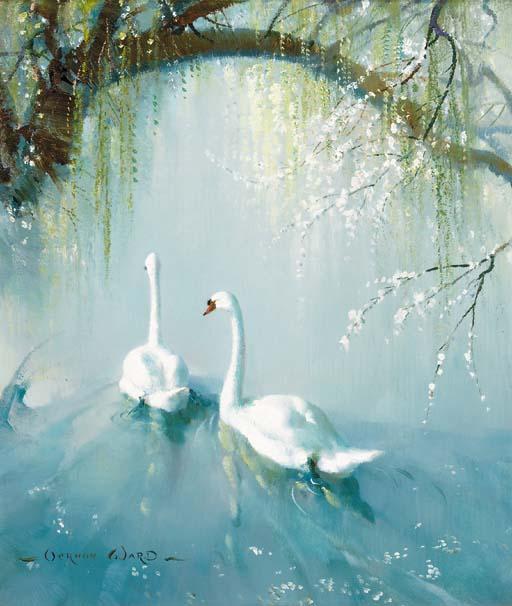 Vernon de Beauvoir Ward - Two swans under a tree in blossom