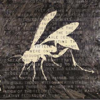 Vernon Fisher - Wasp Killer