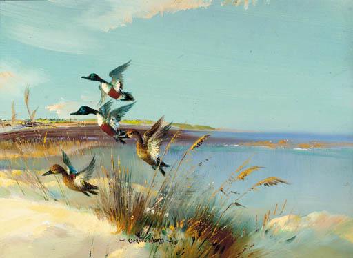 Vernon Ward - Ducks Startled