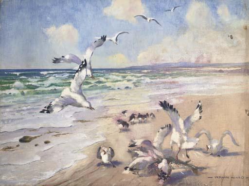 Vernon Ward - Sea treasure