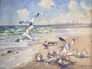 Vernon Ward - Sea treasure