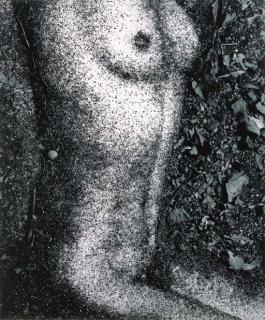 Vic Muniz - Torso (after F. Drtikol)