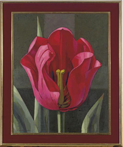 Vicente Viudes - Tulip