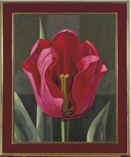 Vicente Viudes - Tulip