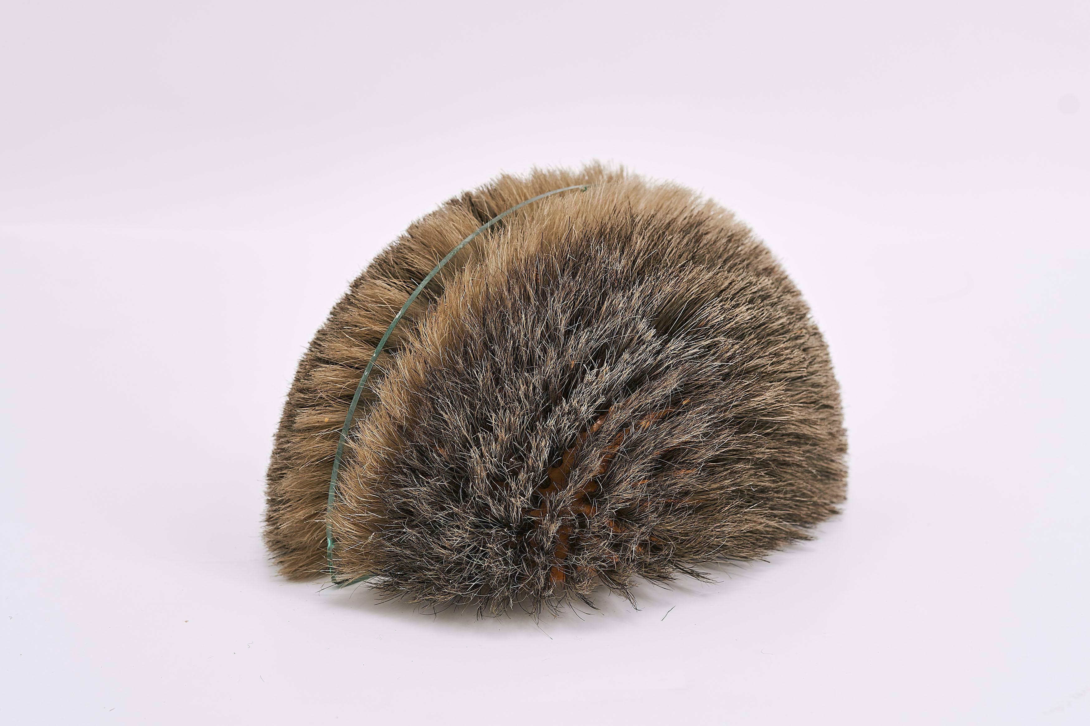 Victor Bonato - Cloning is possible