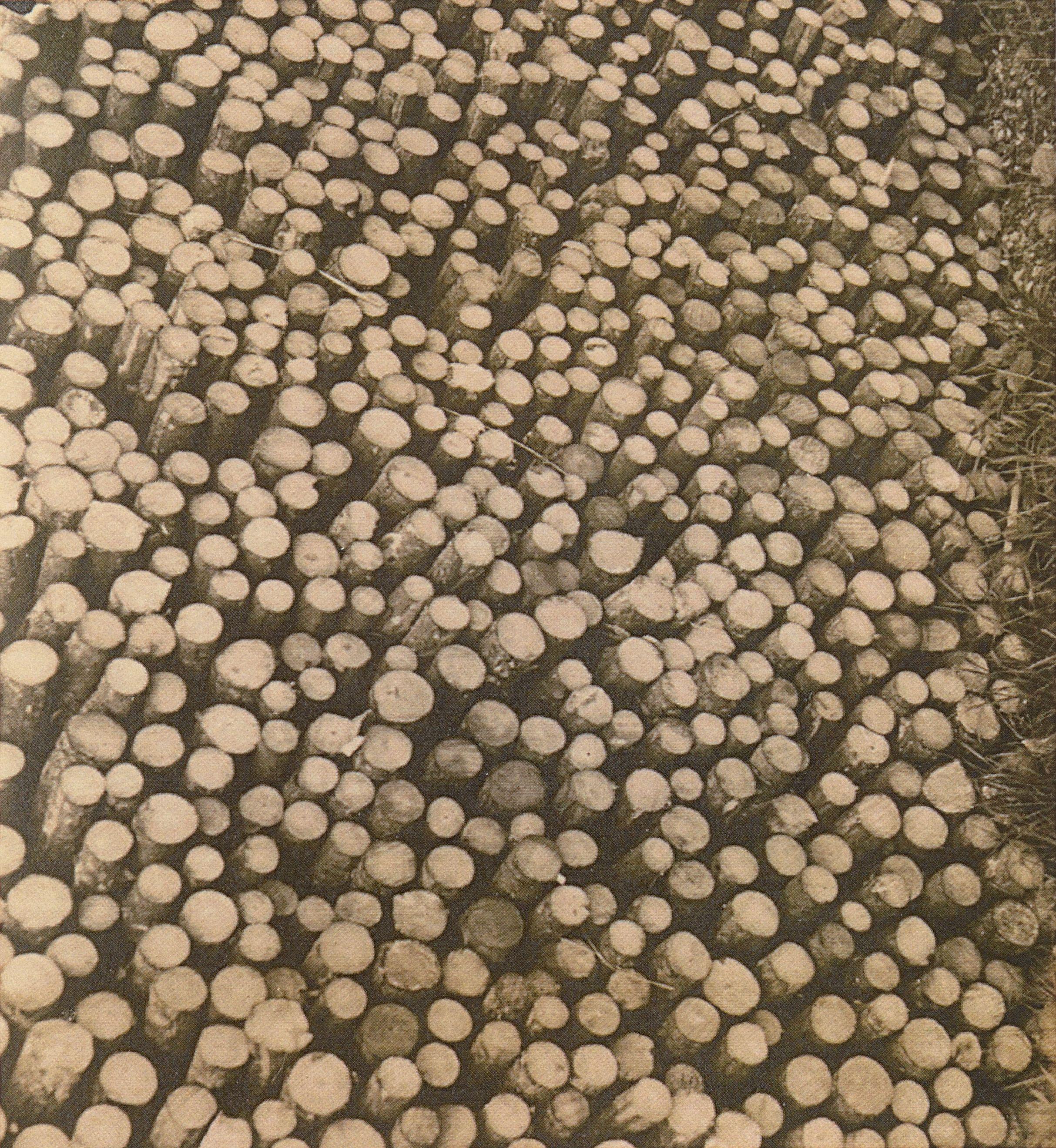 Victor Guidalevitch - Untitled, Logs