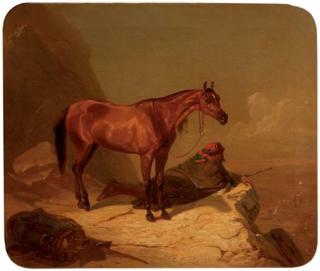 Victor-Jean Adam - An Arabic scout