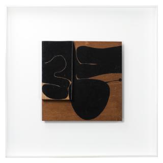 Victor Pasmore - Black Development