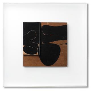 Victor Pasmore - Black Development