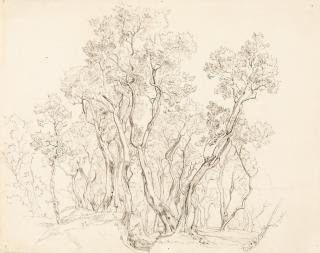 Victor Paul Mohn - Olivenhain mit rastendem Knaben.