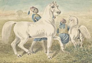 Victor-Pierre Hugnet - Grey horses with their grooms
