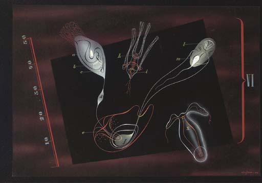 Victor Reinganum - Diagram Vi