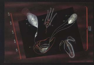 Victor Reinganum - Diagram Vi