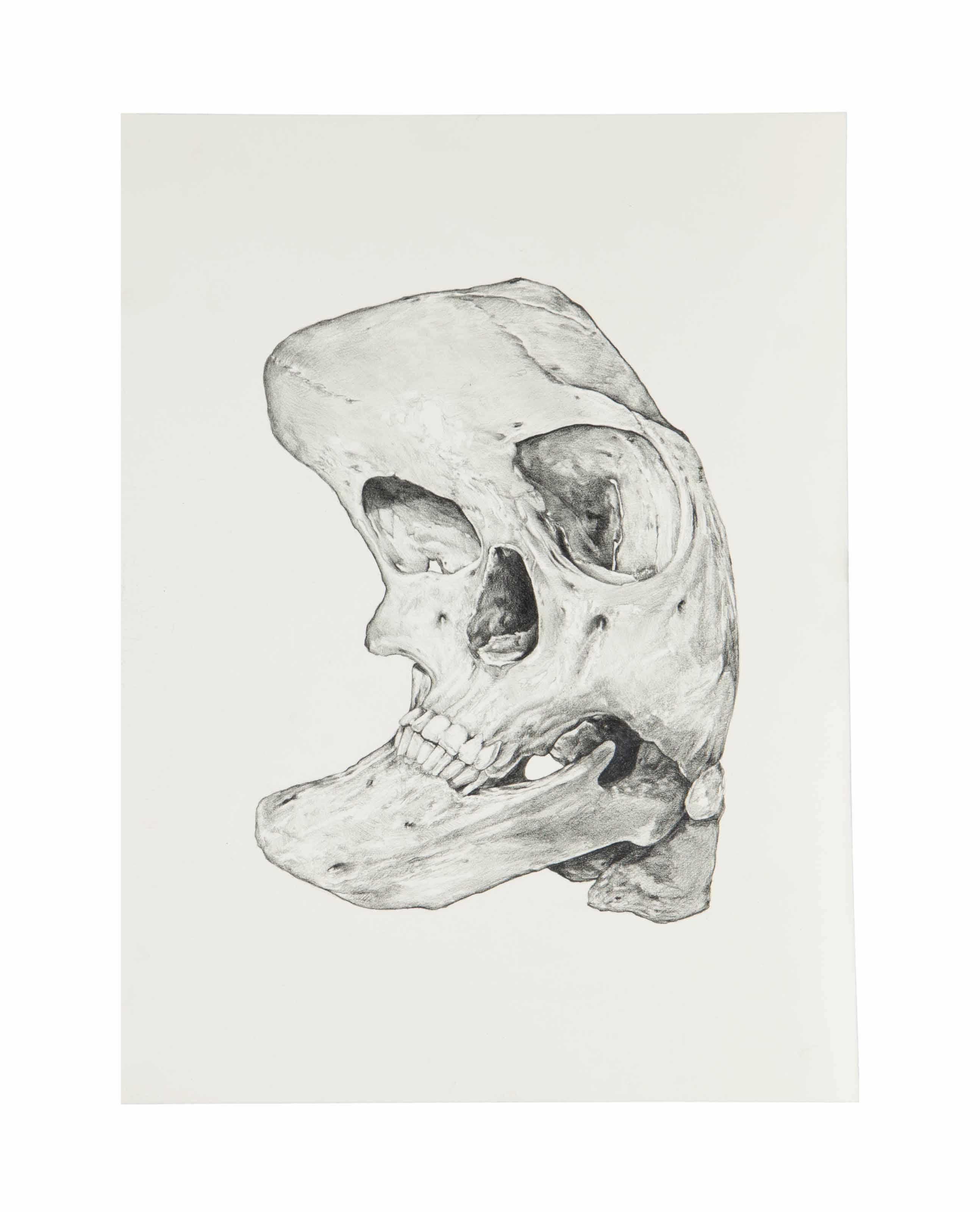 Victor Rodriguez - Curved Skull