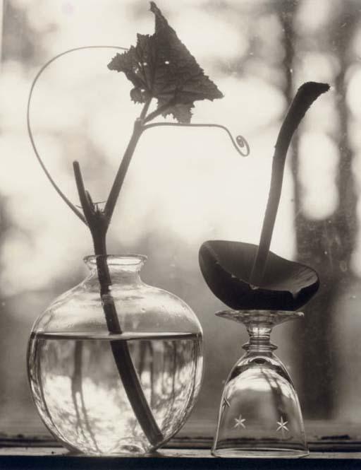 Victor Schrager - Untitled (Upside Down Mushroom), 1998