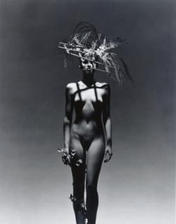 Victor Skrebneski - Selected fashion studies, 1975-1985