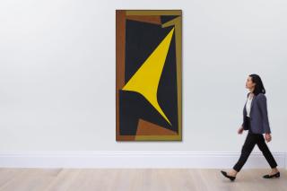 Victor Vasarely - Bükk