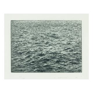 Vija Celmins - Cean Surface