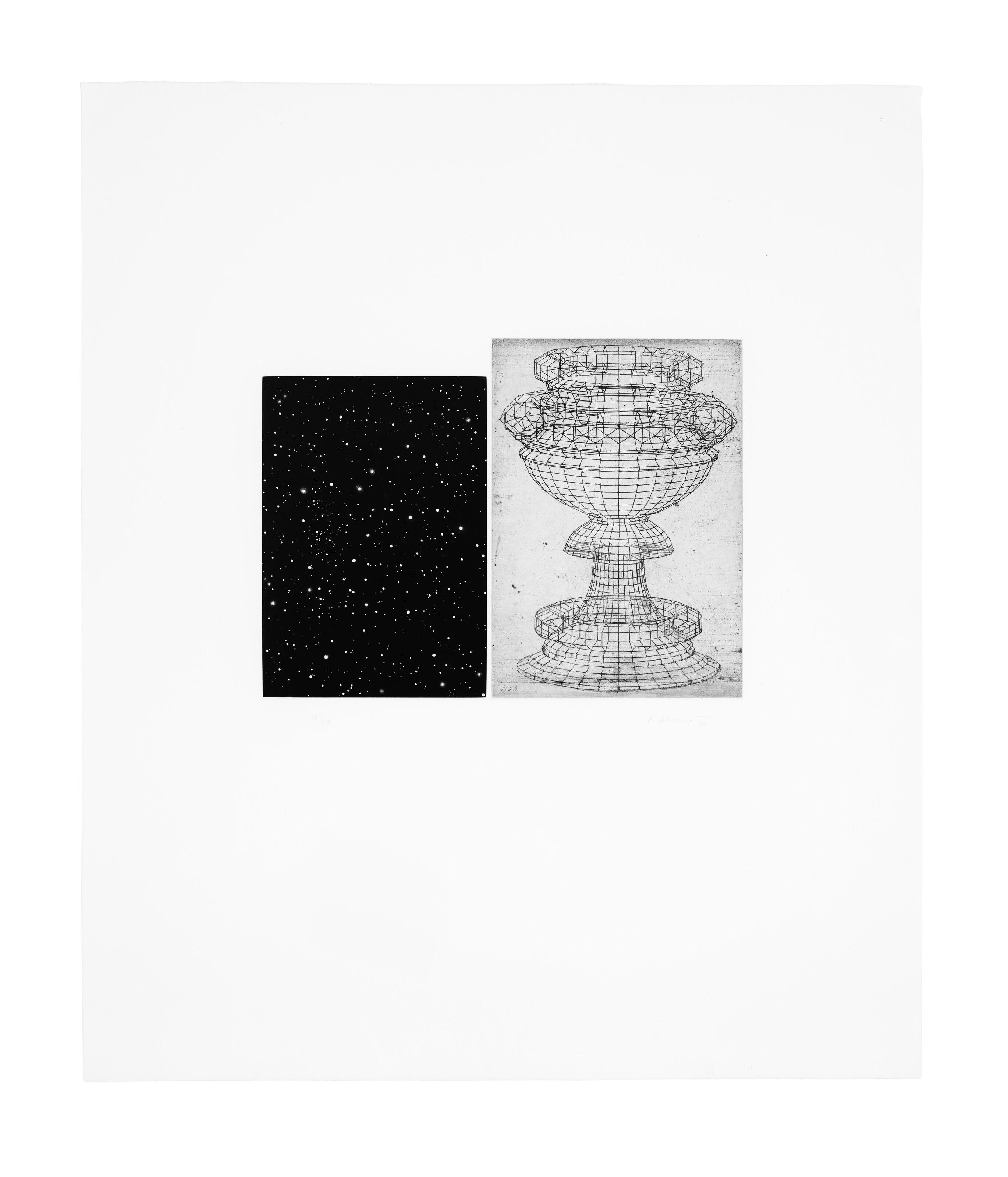 Vija Celmins - Constellation - Uccello