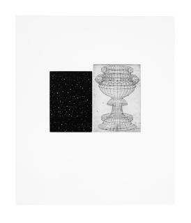 Vija Celmins - Constellation - Uccello