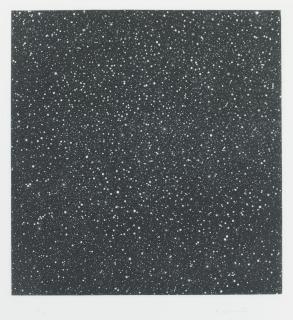 Vija Celmins - December 1984