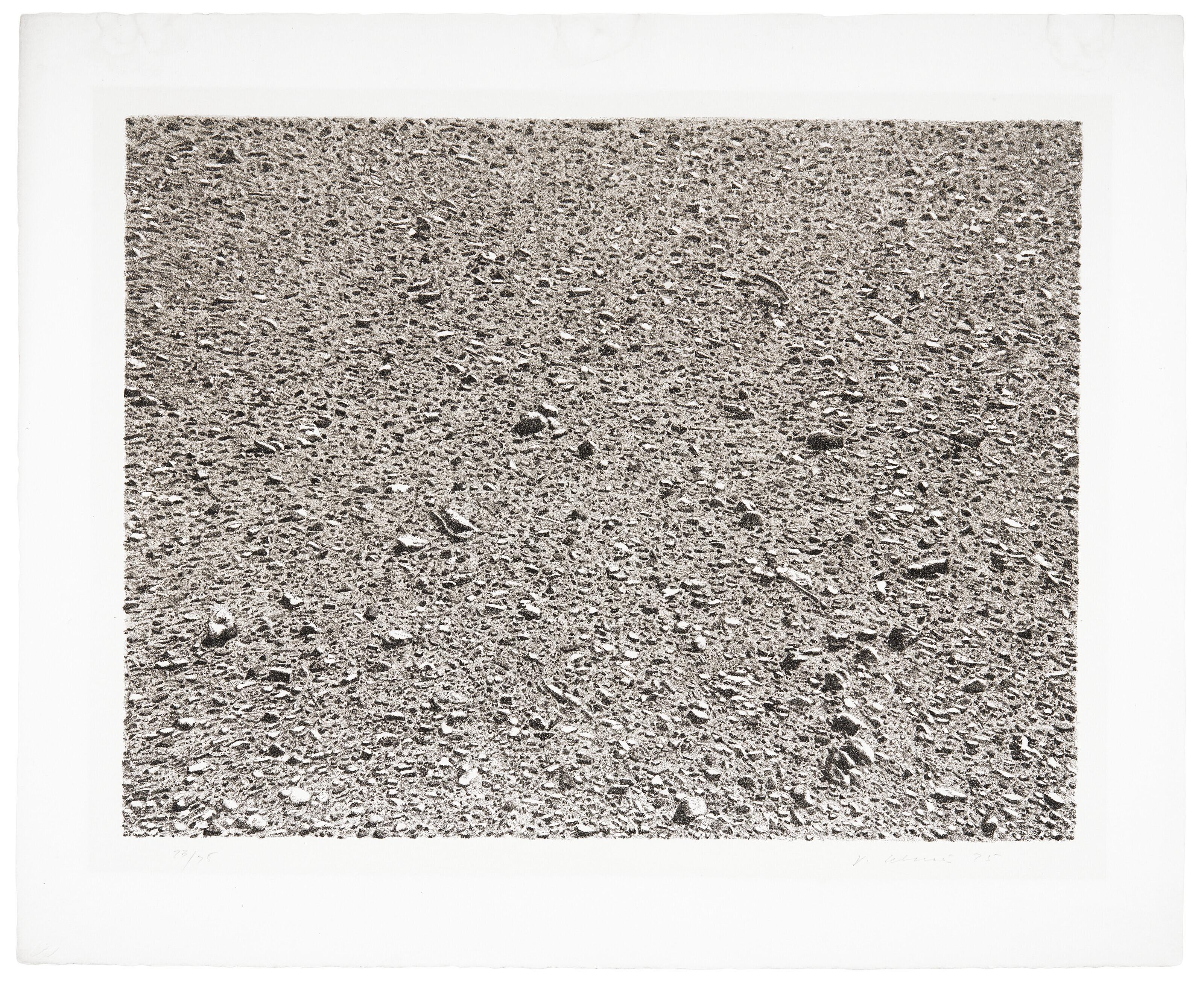 Vija Celmins - Desert, from Untitled Portfolio