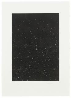 Vija Celmins - Divided Night Sky