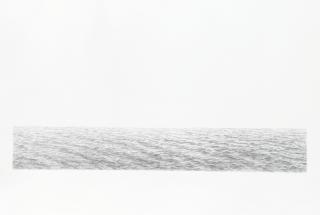 Vija Celmins - Long Ocean