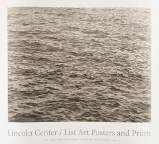 Vija Celmins - Ocean With Cross #1 Poster 5 Works