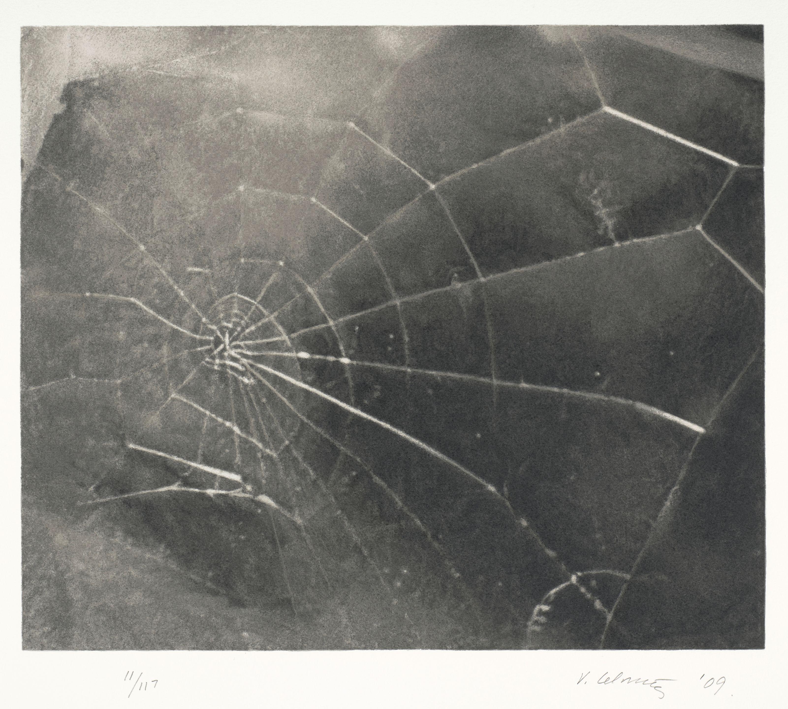 Vija Celmins - Spider Web