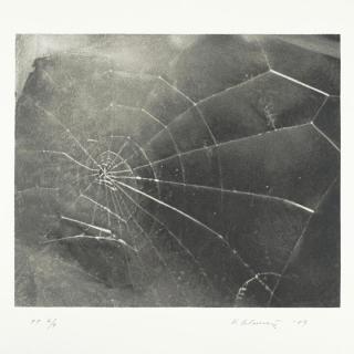 Vija Celmins - Spider Web
