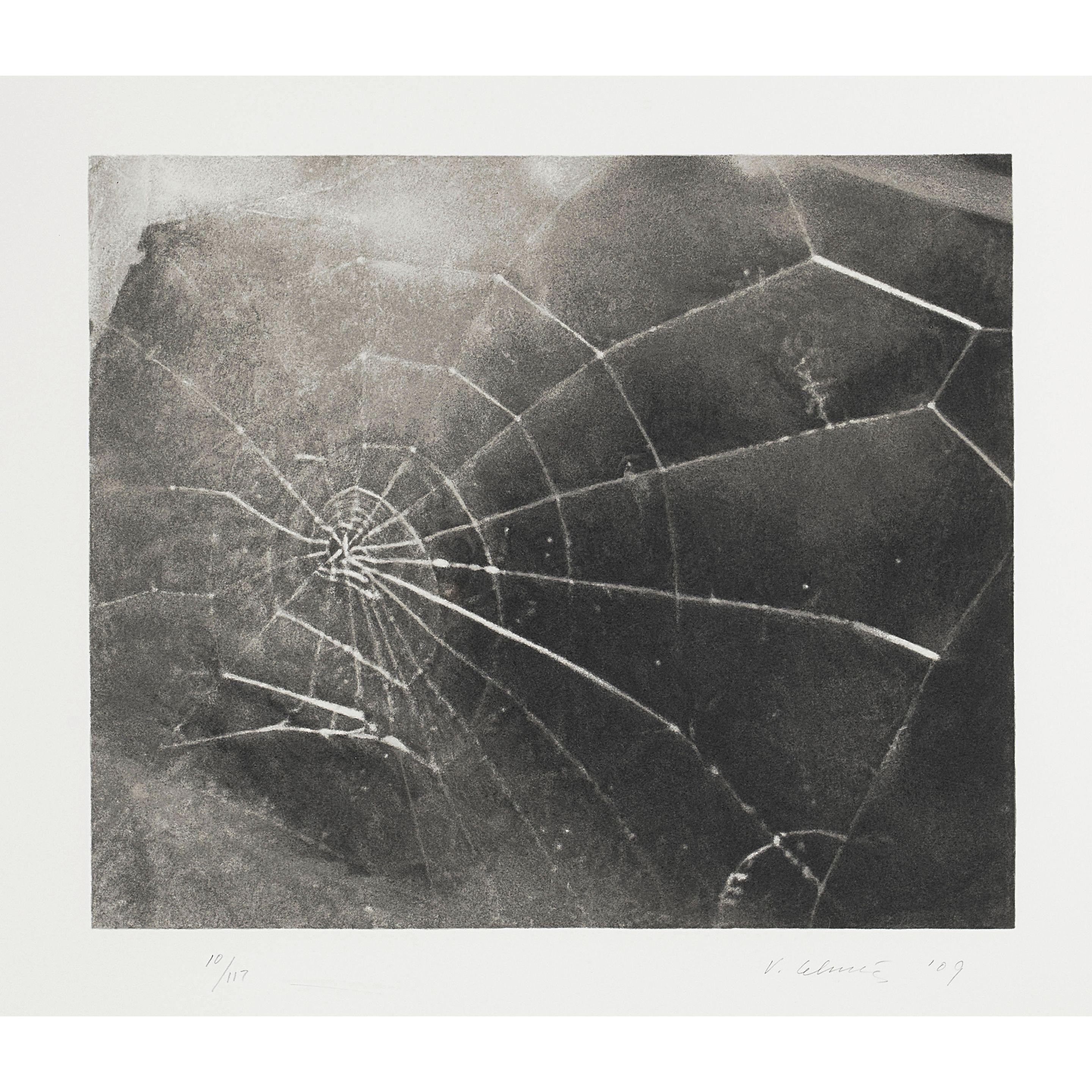 Vija Celmins - Spider Web