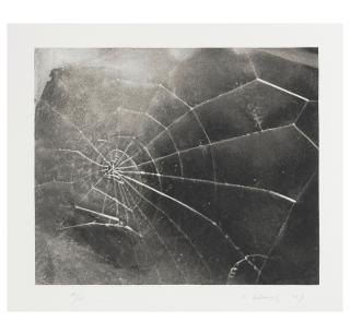 Vija Celmins - Spider Web