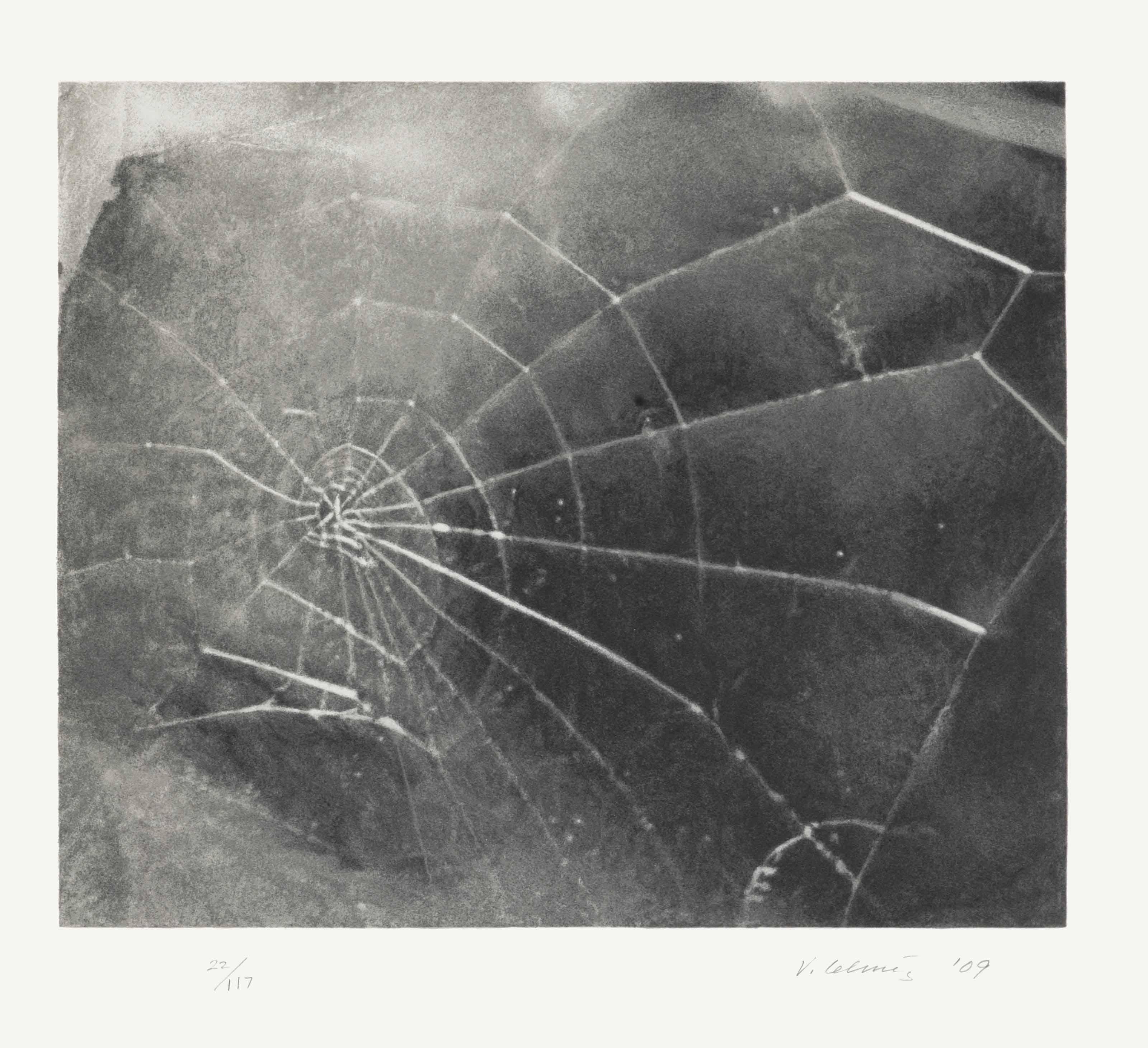 Vija Celmins - Spider Web